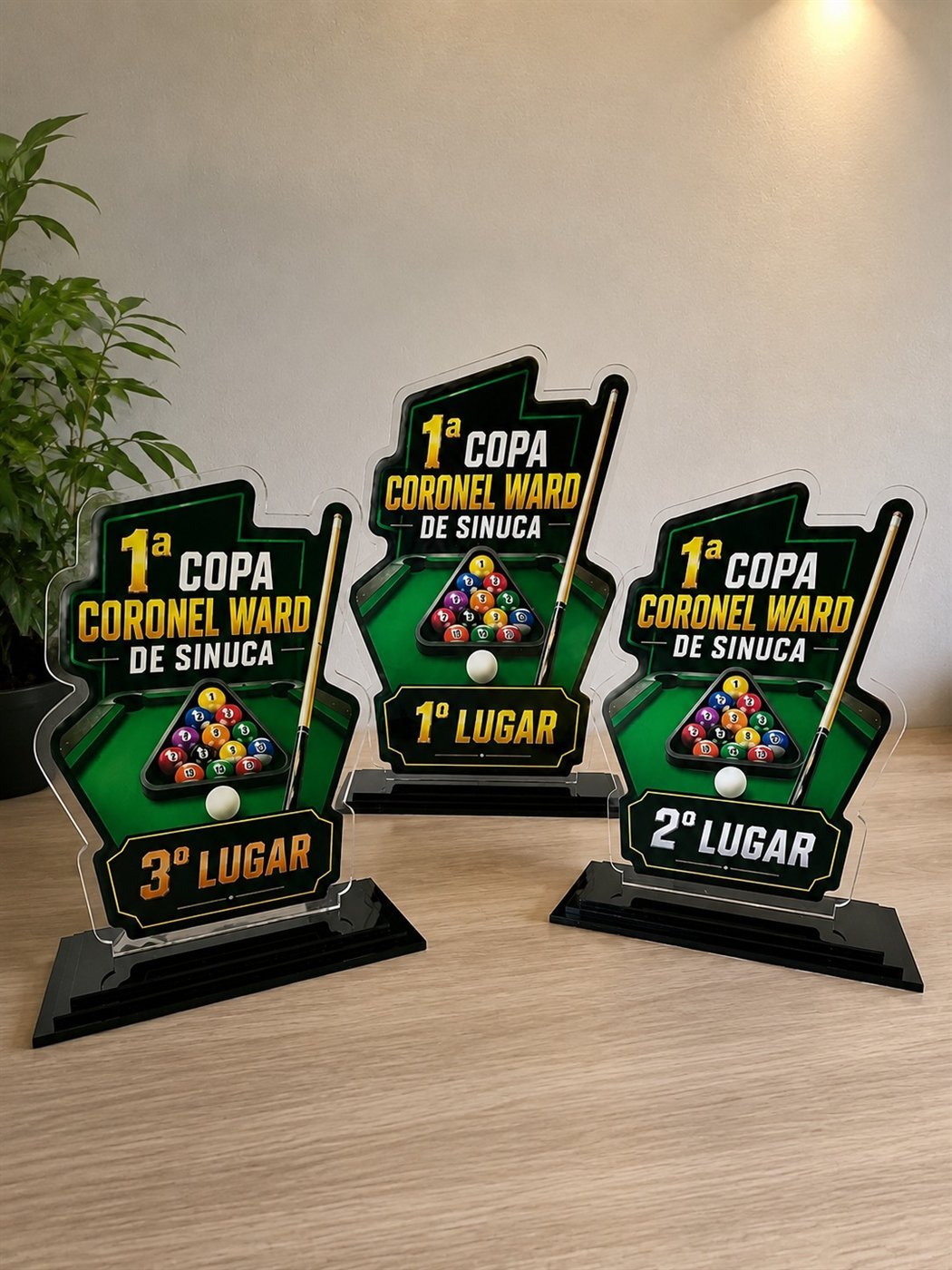 Troféus de sinuca em acrílico personalizados produzidos pela Trapping